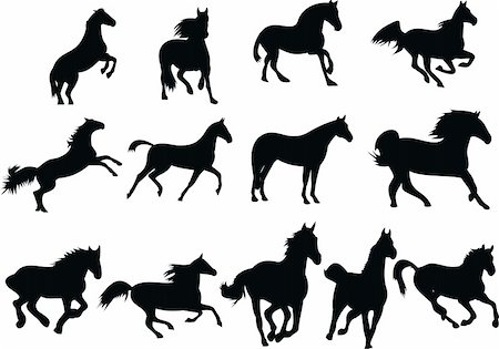 Wild horses. Horses isolated on a white background Stock Photo - Budget Royalty-Free & Subscription, Code: 400-05719264