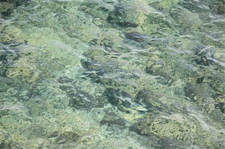 simsearch:400-06080658,k - clean seas with green tone Stock Photo - Budget Royalty-Free & Subscription, Code: 400-05719404
