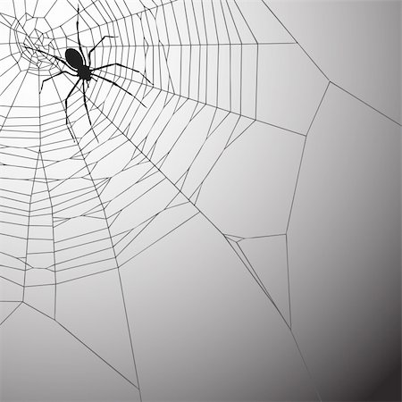 A Spiderweb Vector Illustration with Spider Photographie de stock - Aubaine LD & Abonnement, Code: 400-05719413
