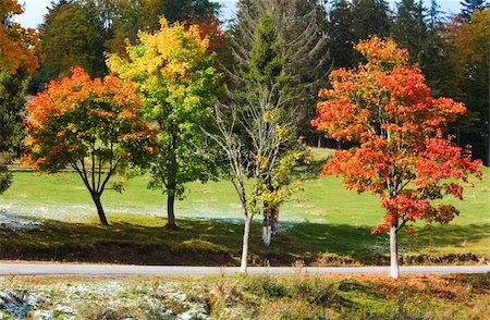 simsearch:400-05713513,k - First winter snow and autumn colorful foliage near mountain secondary road (Carpathian, Ukraine) Stock Photo - Budget Royalty-Free & Subscription, Code: 400-05719588