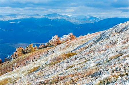 simsearch:400-05719597,k - October Carpathian mountain Borghava plateau with first winter snow and autumn colorful bilberry bushes Stock Photo - Budget Royalty-Free & Subscription, Code: 400-05719597