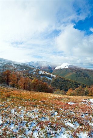 simsearch:400-05713513,k - October Carpathian mountain Borghava plateau with first winter snow and autumn colorful foliage Stock Photo - Budget Royalty-Free & Subscription, Code: 400-05719592