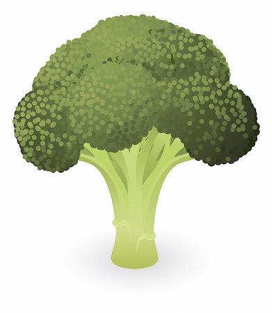 Illustration of a fresh green piece of broccoli Stock Photo - Budget Royalty-Free & Subscription, Code: 400-05711107