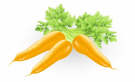 simsearch:400-07982459,k - Illustration of some fresh tasty orange carrots Foto de stock - Super Valor sin royalties y Suscripción, Código: 400-05711109