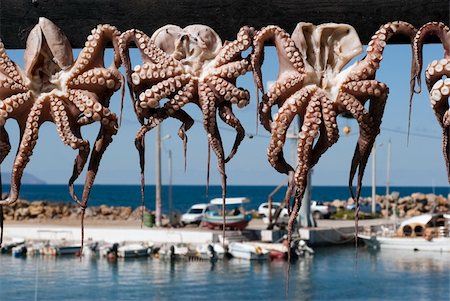 doca seca - Octopuses hanging to dry outdoors close to a small Greek harbour in Chania, Greece. Foto de stock - Royalty-Free Super Valor e Assinatura, Número: 400-05711520