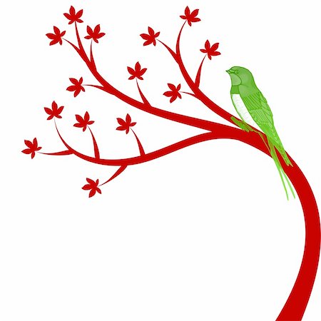 Beautiful tree and colorful bird isolated on white background Stock Photo - Budget Royalty-Free & Subscription, Code: 400-05713182