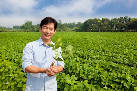 chinese farmer holding sapling and standing on his farm Foto de stock - Super Valor sin royalties y Suscripción, Código: 400-05724085