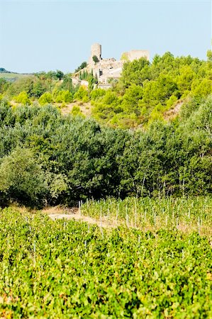 castle in Durban-Corbiere with vineyards, Languedoc-Roussillon, France Stock Photo - Budget Royalty-Free & Subscription, Code: 400-05724432