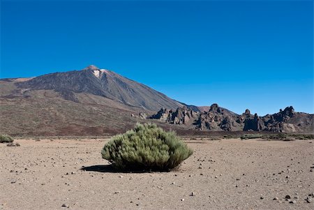 Ucanca the plain of the volcano el teide in the background on the island of tenerife canary islands spain Photographie de stock - Aubaine LD & Abonnement, Code: 400-05724530