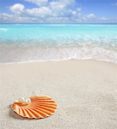 Caribbean pearl on shell over white sand beach of a tropical turquoise sea Fotografie stock - Microstock e Abbonamento, Codice: 400-05724637