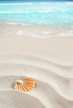 Caribbean pearl on shell in white wavy sand beach of a tropical turquoise sea Fotografie stock - Microstock e Abbonamento, Codice: 400-05724658