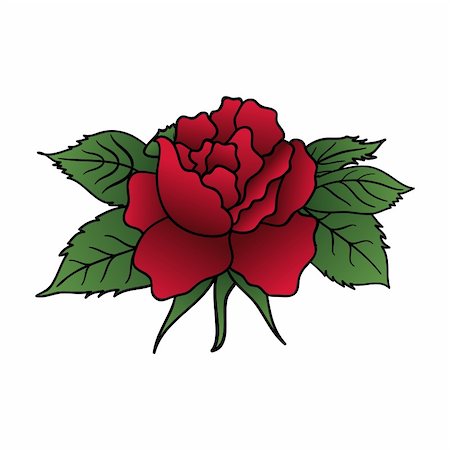 rosa canina - Illustration beautiful red rose isolated - vector Stock Photo - Budget Royalty-Free & Subscription, Code: 400-05727248