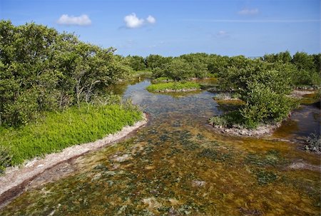 Scenic Landscape in Everglades National Park, Florida Photographie de stock - Aubaine LD & Abonnement, Code: 400-05727274