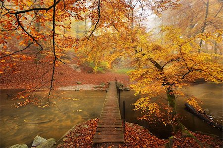 Autumn in the woods with a creek running through the woods with a bridge over Stock Photo - Budget Royalty-Free & Subscription, Code: 400-05728165