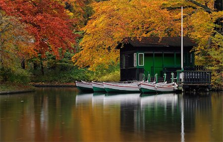 Autumn in a park by a lake with Some boats at the boathouse Stock Photo - Budget Royalty-Free & Subscription, Code: 400-05728191