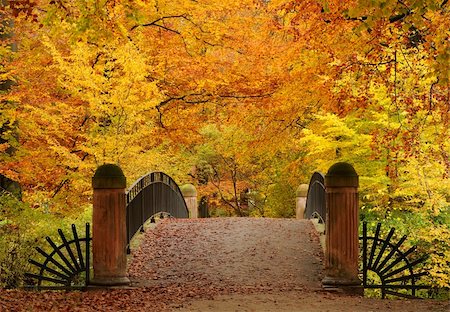 Old bridge in a park with beautiful autumn colors Stock Photo - Budget Royalty-Free & Subscription, Code: 400-05728205