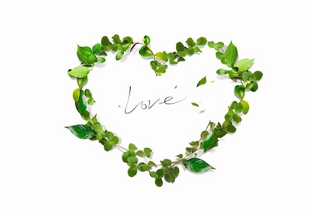simsearch:400-04344268,k - Fresh green leaves heart Stock Photo - Budget Royalty-Free & Subscription, Code: 400-05728509
