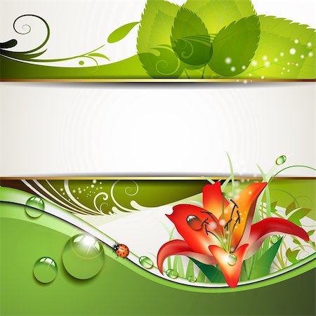 simsearch:400-06355861,k - Green background with lily and drops of water Photographie de stock - Aubaine LD & Abonnement, Code: 400-05720674