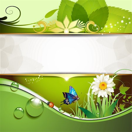 simsearch:400-06355861,k - Green background with daisy and drops of water Photographie de stock - Aubaine LD & Abonnement, Code: 400-05720675