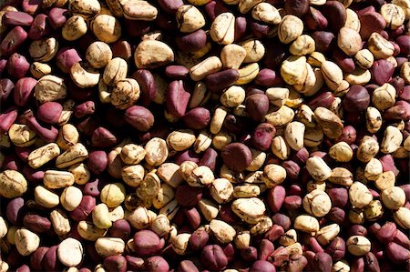 dogon - Kola Nut (Cola) is the nut of the kola tree, a genus of trees native to the tropical rainforests of Africa. Photographie de stock - Aubaine LD & Abonnement, Code: 400-05721338