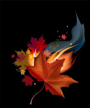 Realistic brown autumn maple leaf in fire on black background. Photographie de stock - Aubaine LD & Abonnement, Code: 400-05721609