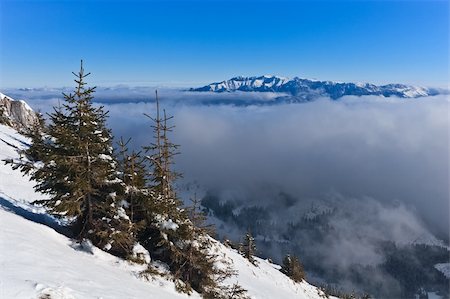 simsearch:400-04513584,k - a winter landscape with a mountain background Foto de stock - Super Valor sin royalties y Suscripción, Código: 400-05722748
