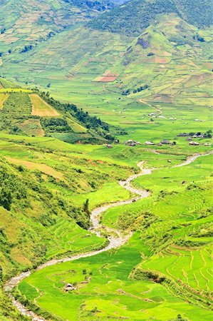 subsistence agriculture - Mountain valley with a river flowing among rice fields Foto de stock - Super Valor sin royalties y Suscripción, Código: 400-05722882