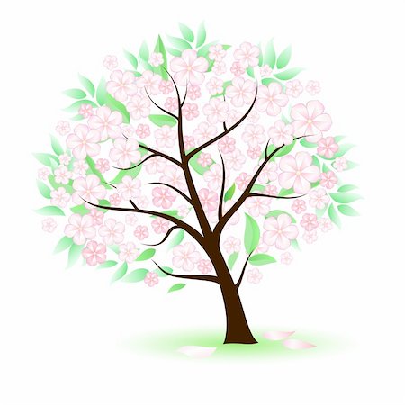 simsearch:400-05704843,k - Stylized Tree with leafs and flowers. Illustration on white background for design Stockbilder - Microstock & Abonnement, Bildnummer: 400-05723065