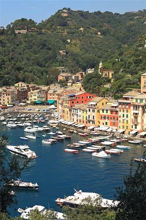 simsearch:400-07550760,k - Vertical oriented image of famous town of Portofino with small bay full of yachts and boats on Ligurian sea, northern Italy. Foto de stock - Royalty-Free Super Valor e Assinatura, Número: 400-05734015