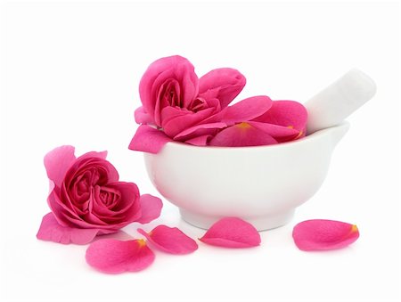 spa background - Rose flower petals in a porcelain mortar with pestle and scattered isolated over white background. Rosa rugosa. Stock Photo - Budget Royalty-Free & Subscription, Code: 400-05734311