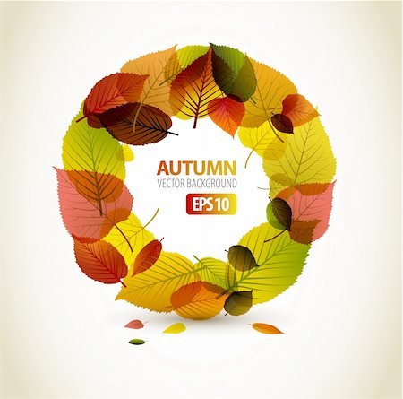 Autumn abstract floral background - circle from colorful leafs with place for your text Stock Photo - Budget Royalty-Free & Subscription, Code: 400-05735534