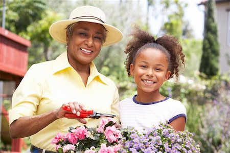 Grandmother With Granddaughter Gardening Together Stock Photo - Budget Royalty-Free & Subscription, Code: 400-05736407