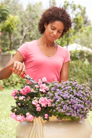 Young Woman Gardening Stock Photo - Budget Royalty-Free & Subscription, Code: 400-05736400