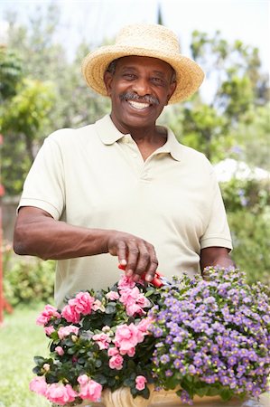 simsearch:400-05736257,k - Senior Man Gardening Stock Photo - Budget Royalty-Free & Subscription, Code: 400-05736411