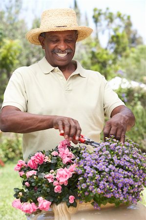 simsearch:400-05736257,k - Senior Man Gardening Stock Photo - Budget Royalty-Free & Subscription, Code: 400-05736412