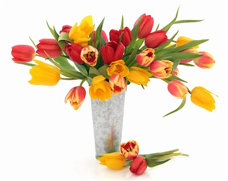 simsearch:400-06356460,k - Tulip flowers in red, yellow and striped in an old metal vase  and scattered isolated over white background. Foto de stock - Super Valor sin royalties y Suscripción, Código: 400-05736877