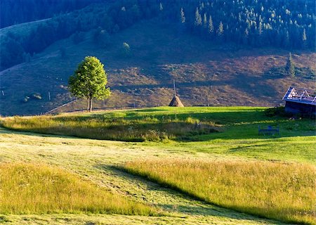 simsearch:400-06177045,k - Summer mountain landscape with haystack and lonely tree Stock Photo - Budget Royalty-Free & Subscription, Code: 400-05736908