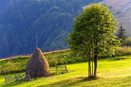 simsearch:400-06177045,k - Summer mountain landscape with haystack and lonely tree Stock Photo - Budget Royalty-Free & Subscription, Code: 400-05736910