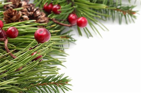 Christmas border with cones, berries and pine branches isolated on white background. Shallow dof Stock Photo - Budget Royalty-Free & Subscription, Code: 400-05736947