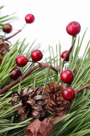 Christmas border with cones, berries and pine branches isolated on white background. Shallow dof Stock Photo - Budget Royalty-Free & Subscription, Code: 400-05736948