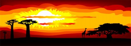 savannah sunset - Abstract illustration of the sunset in Africa - vector. This file is vector, can be scaled to any size without loss of quality. Stock Photo - Budget Royalty-Free & Subscription, Code: 400-05737142