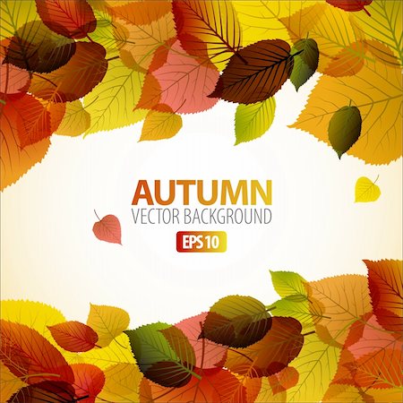 simsearch:400-04276166,k - Vector Autumn abstract background with colorful leafs and place for your text Foto de stock - Royalty-Free Super Valor e Assinatura, Número: 400-05737331