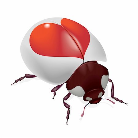 dvarg (artist) - Ladybug with red hearts. Illustration on white background Photographie de stock - Aubaine LD & Abonnement, Code: 400-05737646