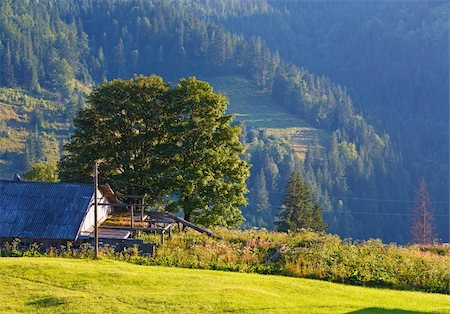 simsearch:400-05737744,k - Summer mountain village landscape with shed on hill slope Stock Photo - Budget Royalty-Free & Subscription, Code: 400-05737749