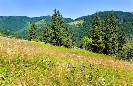 simsearch:400-06063989,k - Summer mountain landscape with flowering grassland in front Foto de stock - Royalty-Free Super Valor e Assinatura, Número: 400-05737752