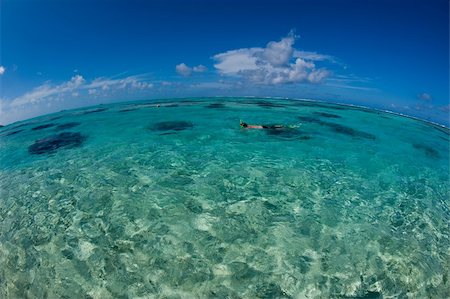 Man snorkeling in the crystal clear ocean, Bora Bora, Tahiti, French Polynesia. Stock Photo - Budget Royalty-Free & Subscription, Code: 400-05738406