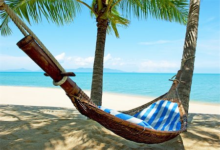 Empty hammock between palms trees at sandy beach Stockbilder - Microstock & Abonnement, Bildnummer: 400-05738557