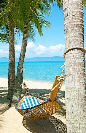 Empty hammock between palms trees at sandy beach Stockbilder - Microstock & Abonnement, Bildnummer: 400-05738564