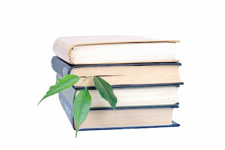Books and tree isolated on white background Stock Photo - Budget Royalty-Free & Subscription, Code: 400-05738611