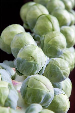 Closeup Macro of a Stalk of Brussels Sprouts 2 Stock Photo - Budget Royalty-Free & Subscription, Code: 400-05739041